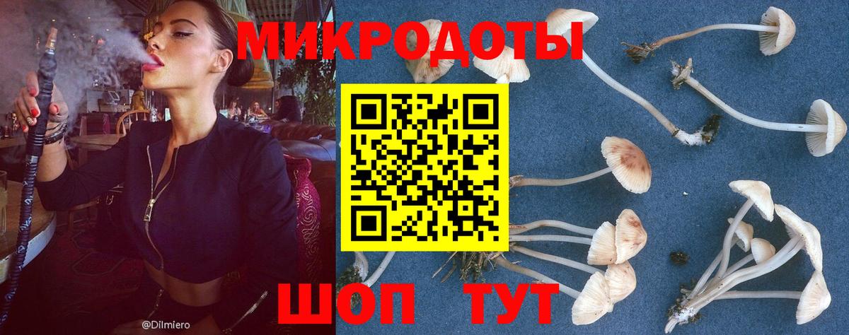 Сокол  Галлюциногенные грибы мухоморы  Вход с VPN 